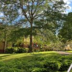 WhatsApp Image 2025-10-30 at 01.58.07-2